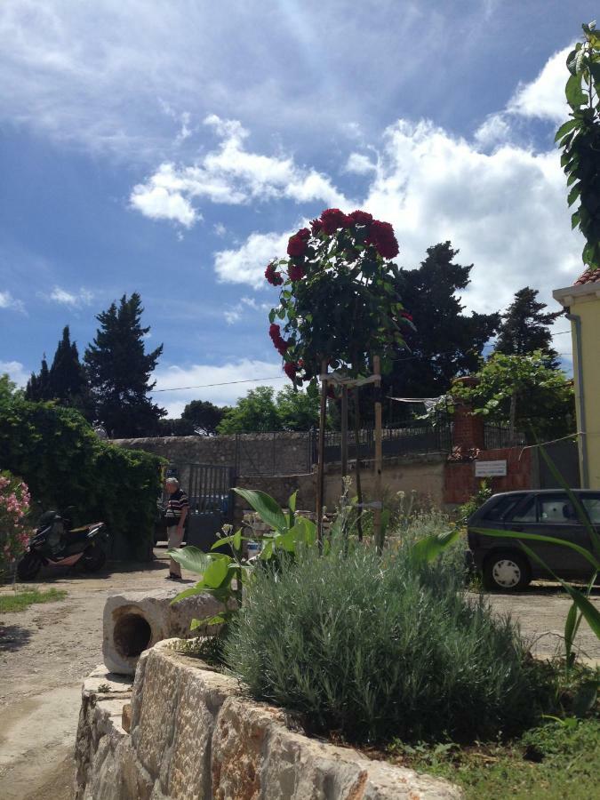 Serendipity Dubrovnik Centre-Free Parking Екстер'єр фото